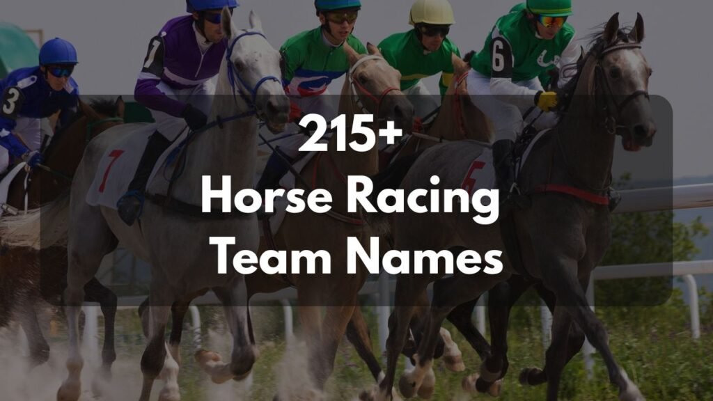 215 Horse Racing Team Names: Cool, Funny, Unique 215 Horse Racing Team Names
